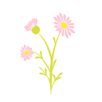 Omaq flower star flowers moon Sticker