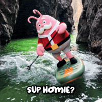 Sup Homie GIF by LobsterClaus