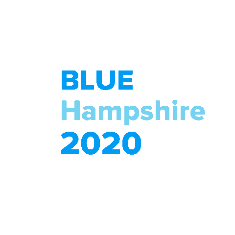 nhdemocraticparty giphyupload vote election voting Sticker