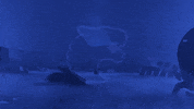 Fly Grave GIF by BLAST
