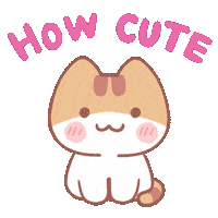 Cat Sticker