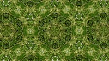 Digital Art GIF