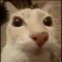 Otag GIF