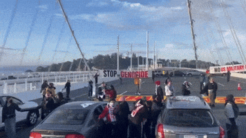 Pro-Ceasefire Protest Shuts Down SF's Bay Bridge