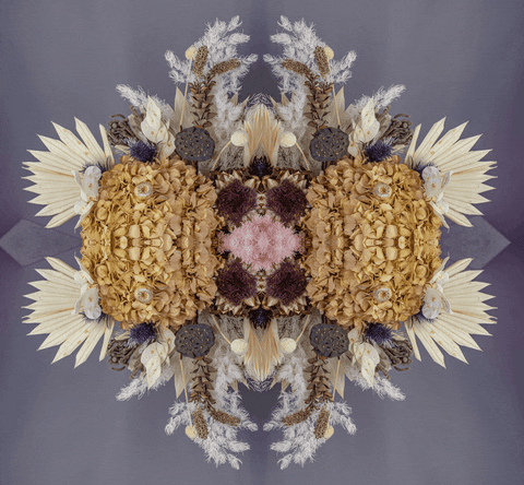 Art 3D GIF
