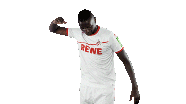 serhou guirassy soccer Sticker by 1. FC Köln
