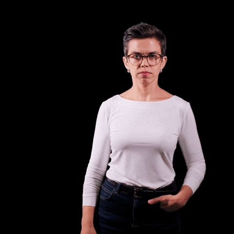 Czech Republic Cesko GIF by Česká pirátská strana