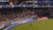 Chris Lynn Kkr GIF
