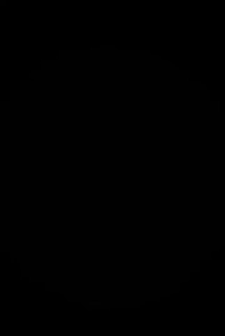 Lunatics Code Cracked