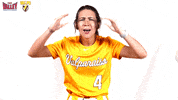 The Valley Mvc GIF by Missouri Valley Conference