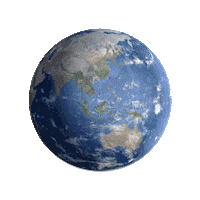 Vegan Meat Sticker by Next Meats North America