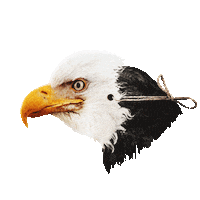 Minutes Sticker by FIddler on the Roof