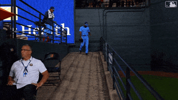 Blue Jays Baseball GIF by Toronto Blue Jays