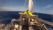 windy GIF
