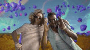 felly felly wide angle GIF