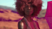 felly felly wide angle GIF