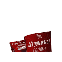 CharlesDenisPersonalTrainer cdc ebook cdcoaching reequilibrage corporel Sticker
