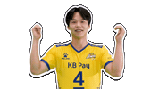 Kb스타즈 Sticker by KB STARS VOLLEYBALL CLUB