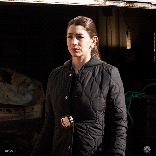 Organized Crime Nbc GIF by Law & Order