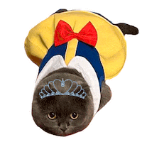 Iye Sticker