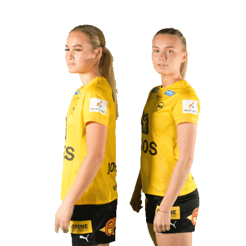 Tss Toppserien Sticker by LSK Kvinner FK