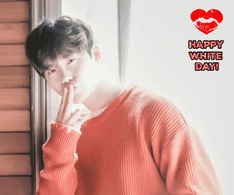 irinebakin giphygifmaker giphyattribution lee jong suk GIF