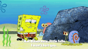 season 9 sanctuary GIF by SpongeBob SquarePants