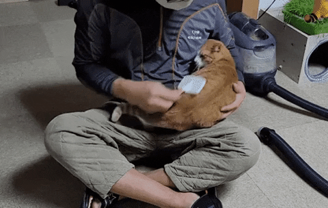 hhhhhhhhhhheeeeeeeeeeee giphygifmaker GIF