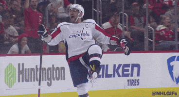 Ice Hockey Sport GIF by NHL