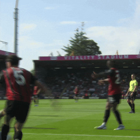 Standing Premier League GIF by AFC Bournemouth