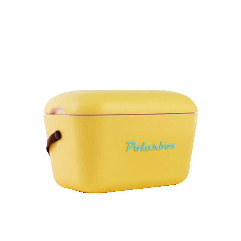 Color Amarillo Sticker by Royal