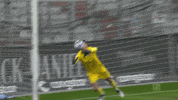 Sankt Pauli Goalkeeper GIF by FC St. Pauli