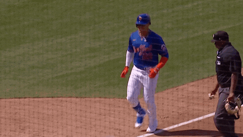 Celebrate Home Run GIF by New York Mets