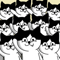 Crypto Hello GIF by Moca Network