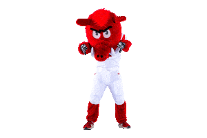 University Of Arkansas Boo Sticker by Arkansas Alumni Association
