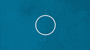 Particle Physics Spin GIF by Fermilab