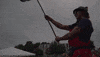 saugeen-maitland hall soph GIF by Western University