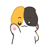 ba_so_0 cat hello hi greeting Sticker