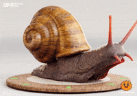 Animation Pixar GIF
