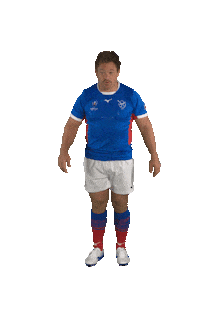 Namibia Rugby Sticker by Rugby World Cup