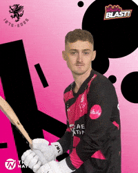 Big Shot Ball GIF by Somerset County Cricket Club