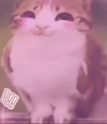 Happy Cat GIF