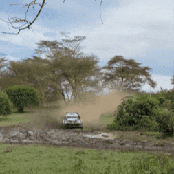 Lets Go Toyota GIF by FIA World Rally Championship