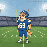 Lets Go Football GIF by Doge Pound