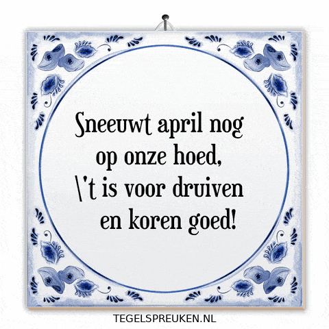 April Wijsheid GIF by Tegelspreuken.nl