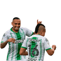 Futbol Esperar Sticker by Club Atlético Nacional