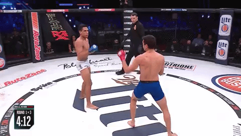 GIF by Bellator