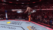 Sport GIF by UFC