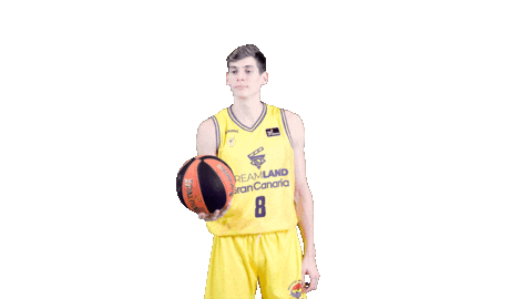 Playing Liga Endesa Sticker by ACB
