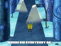 season 6 GIF by SpongeBob SquarePants